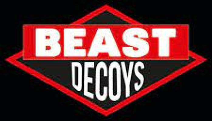 Beast Decoys - Europes No1 tribute to Beastie Boys